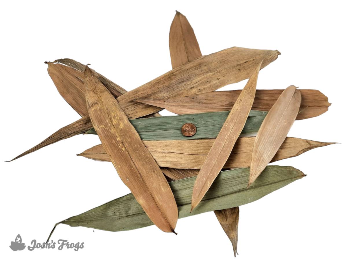 Josh's Frogs Dried Bamboo Leaf Litter (10 leaves)