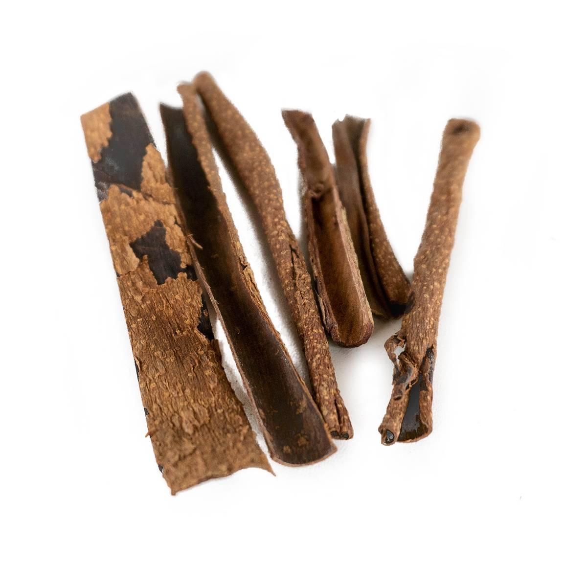 Josh's Frogs Catappa Bark (5 Pieces)