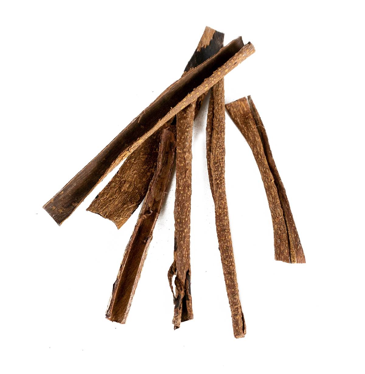 Josh's Frogs Catappa Bark (5 Pieces)