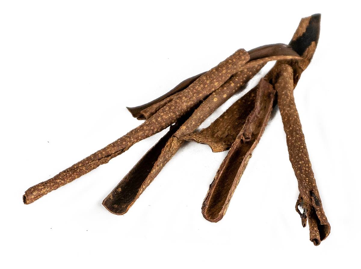 Josh's Frogs Catappa Bark (5 Pieces)