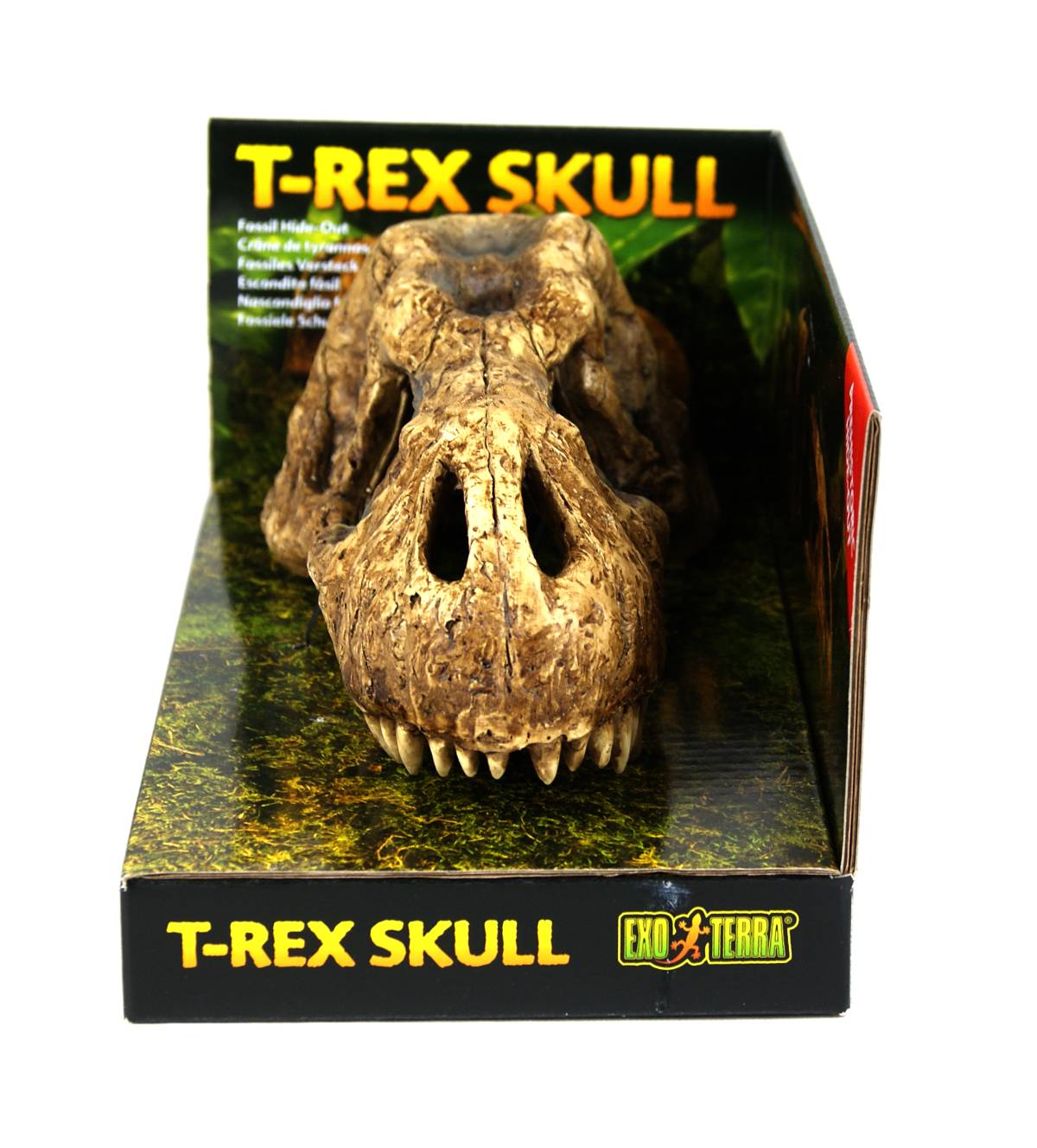 Exo Terra T-Rex Skull