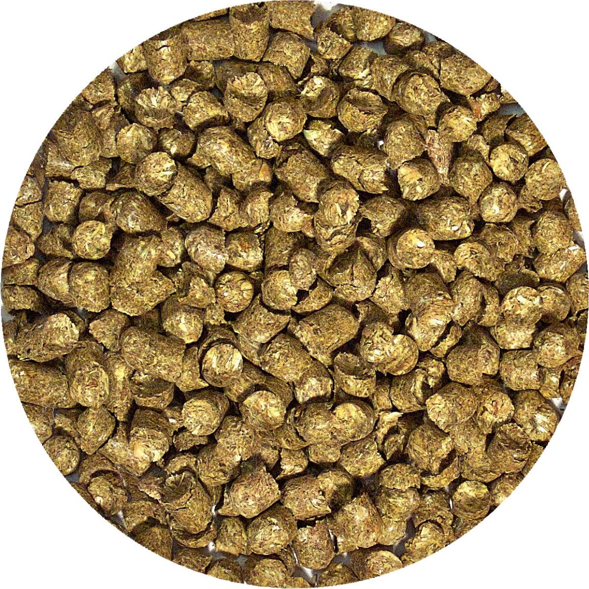 Zoo Med Natural Forest Tortoise Food (35 oz - Dry Pellets)