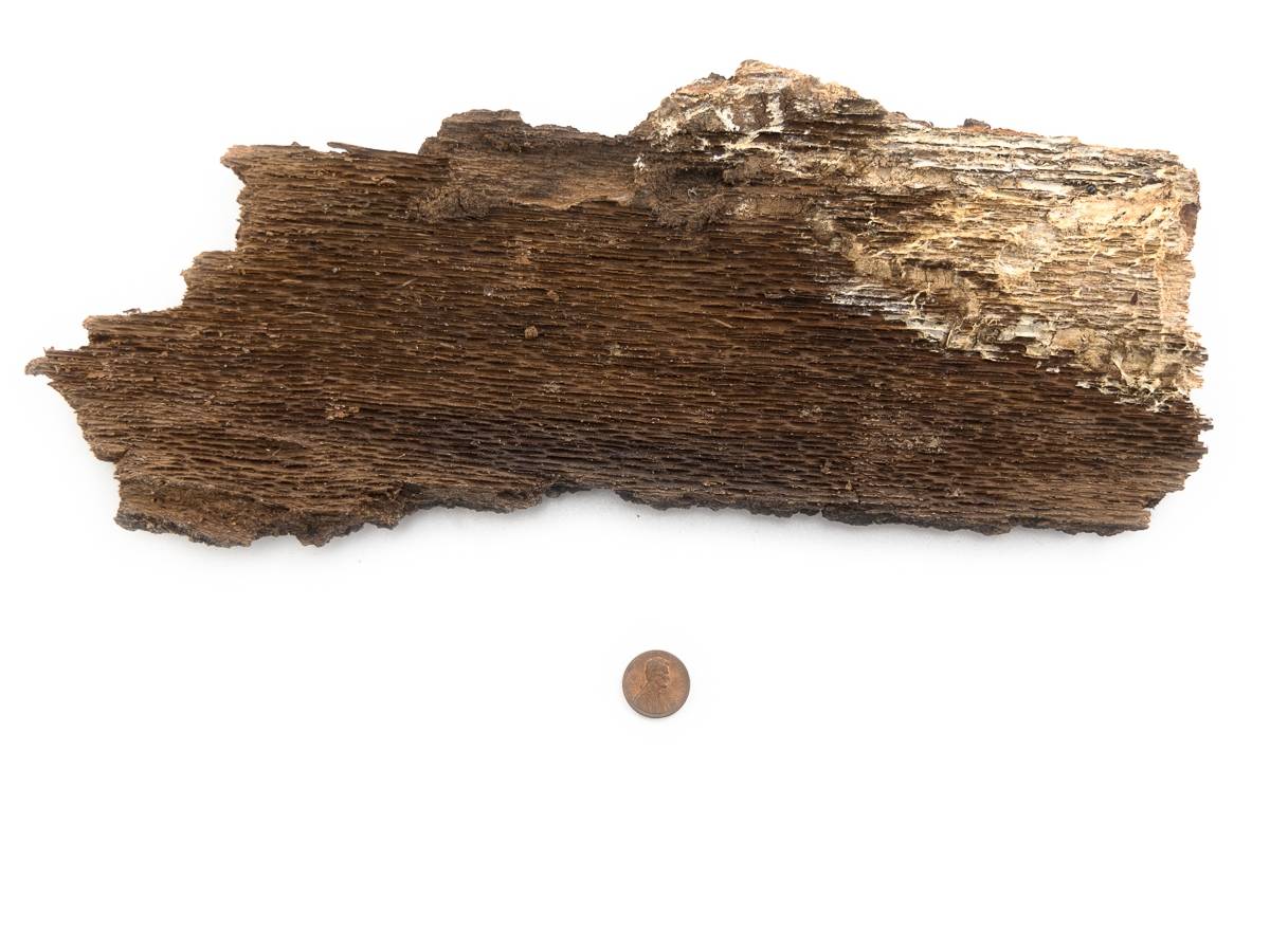 Josh's Frogs Live Oak Bark (3 lbs, 1.5 Sq. Ft.)