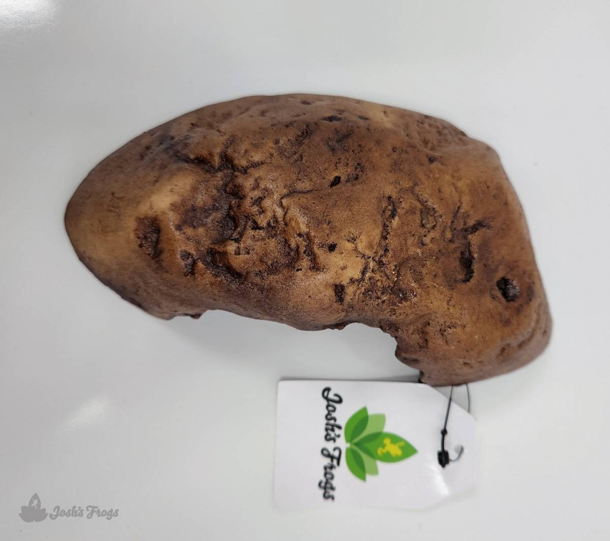 Josh's Frogs Rock Cave Herp Hide (Medium)