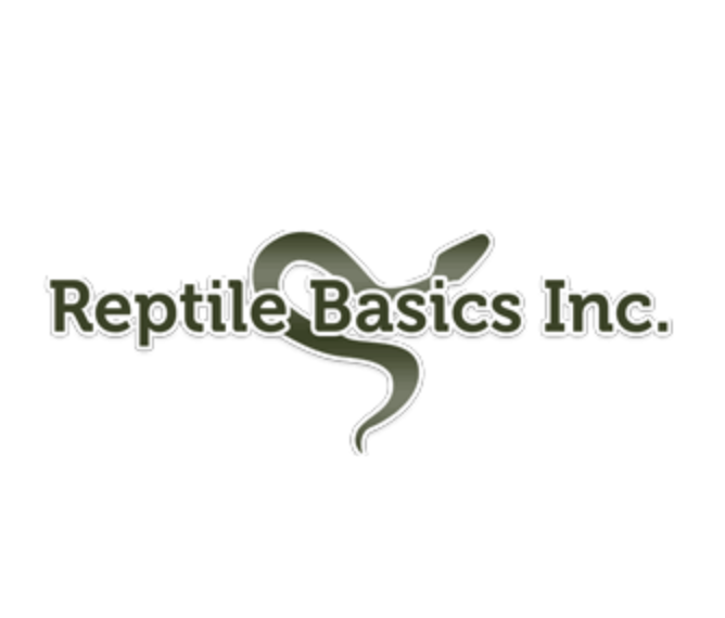 Reptile Basics – Shop Reptifiles