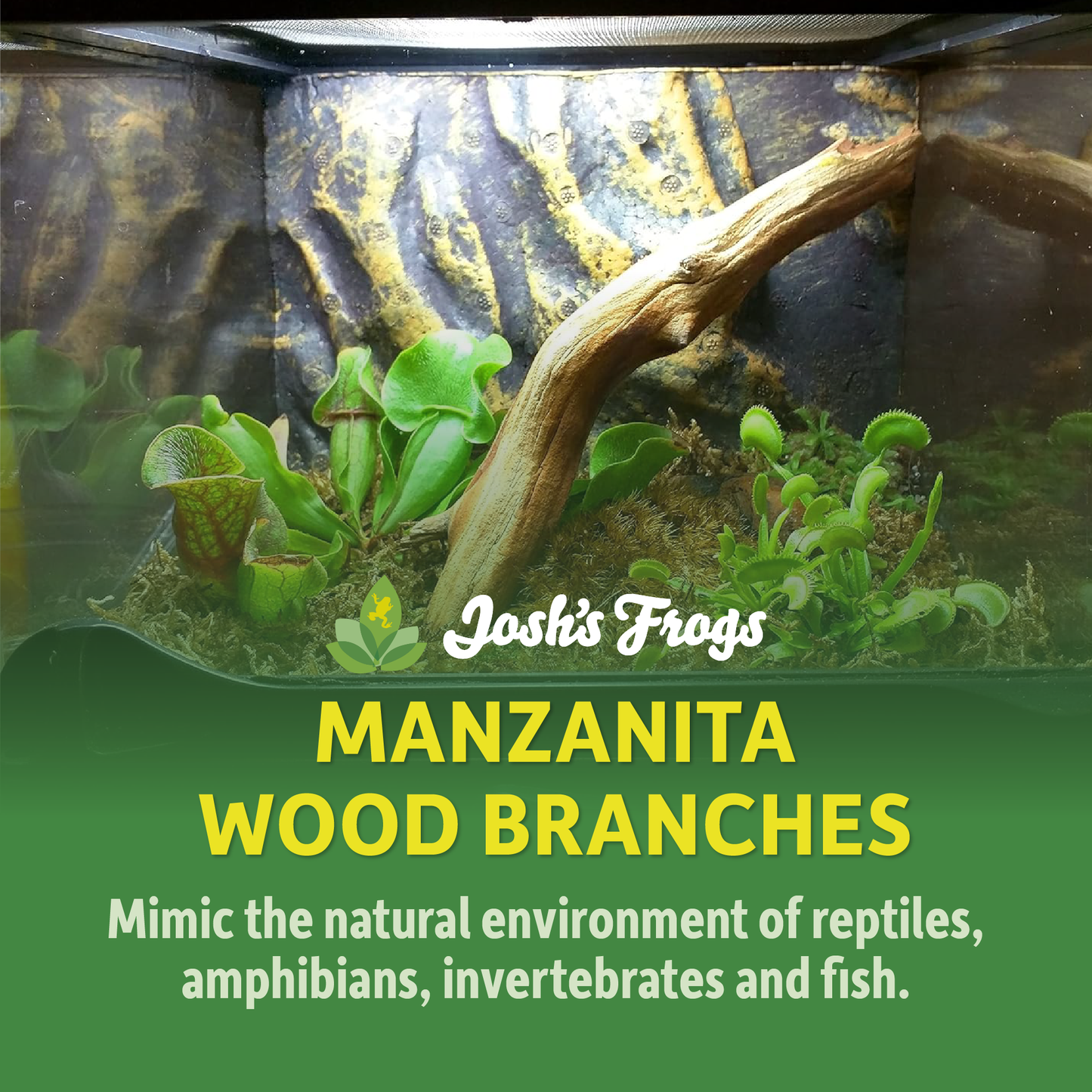 Manzanita Wood (Small)