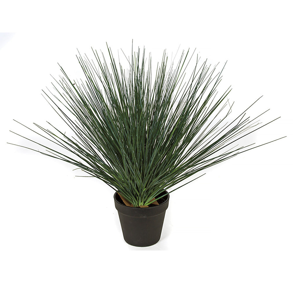 18 Inch Potted Mixed Onion Grass Bush - Green/Blue