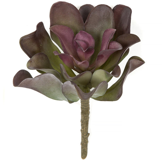 Echeveria Succulent Pick - Green/Burgundy - 8.75 Inch