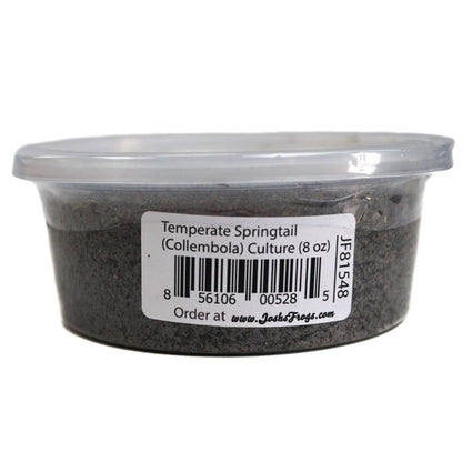 Temperate Springtail (Collembola) 8 oz Culture