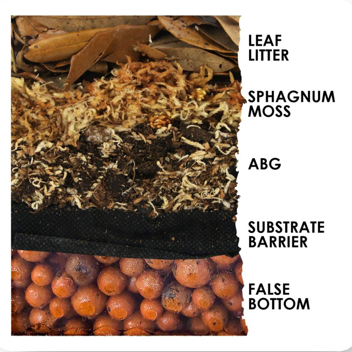 Josh's Frogs False Bottom - LECA (5 Quarts)