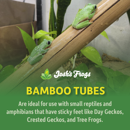 Josh's Frogs Bamboo Tube (2 ft.)