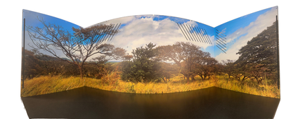 48"x24"x24" / 4'x2'x2' with 7" Substrate Board Premium PVC Reptile Enclosure
