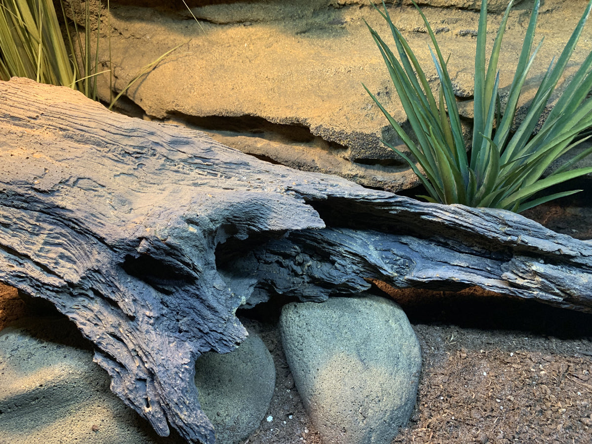 These artificial rocks are so realistic and perfect for reptiles 