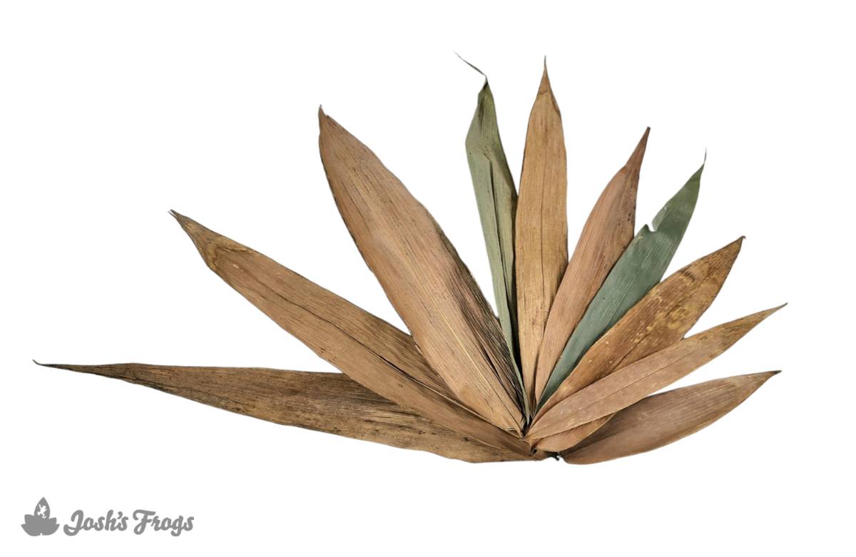 Josh's Frogs Dried Bamboo Leaf Litter (10 leaves)