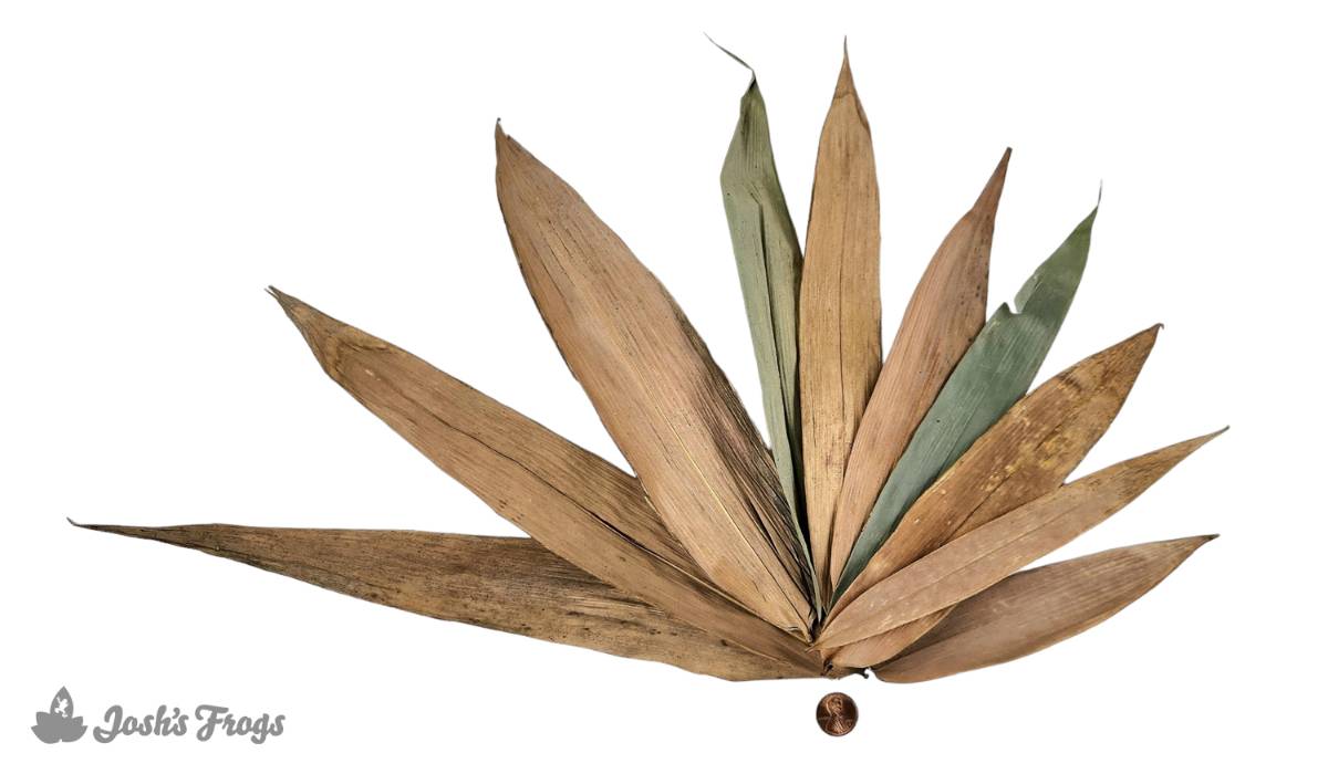 Josh's Frogs Dried Bamboo Leaf Litter (10 leaves)