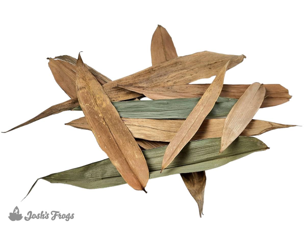 Josh's Frogs Dried Bamboo Leaf Litter (10 leaves)
