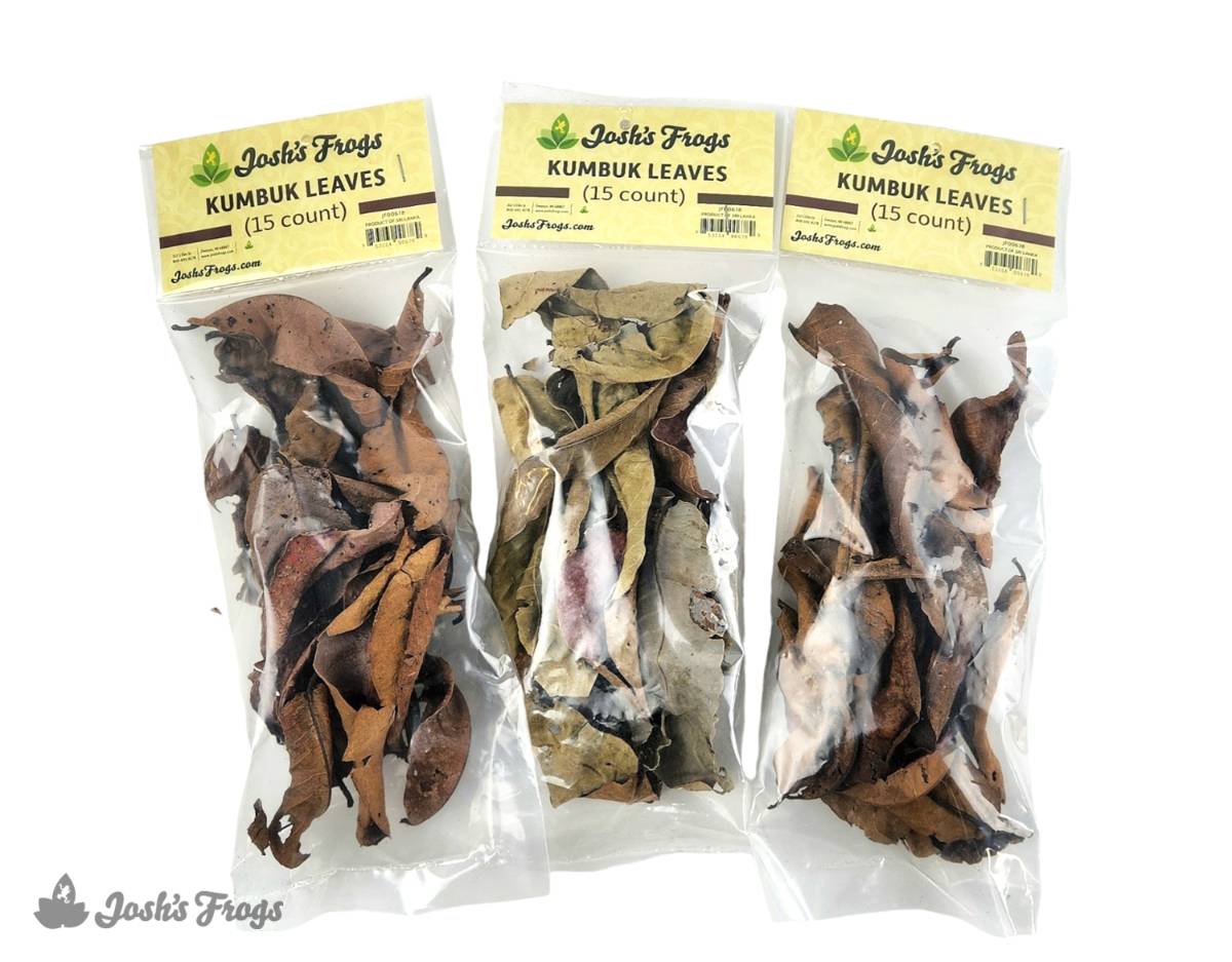 Josh's Frogs Dried Kumbuk Leaf Litter (15 leaves)
