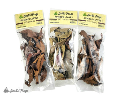 Josh's Frogs Dried Kumbuk Leaf Litter (15 leaves)