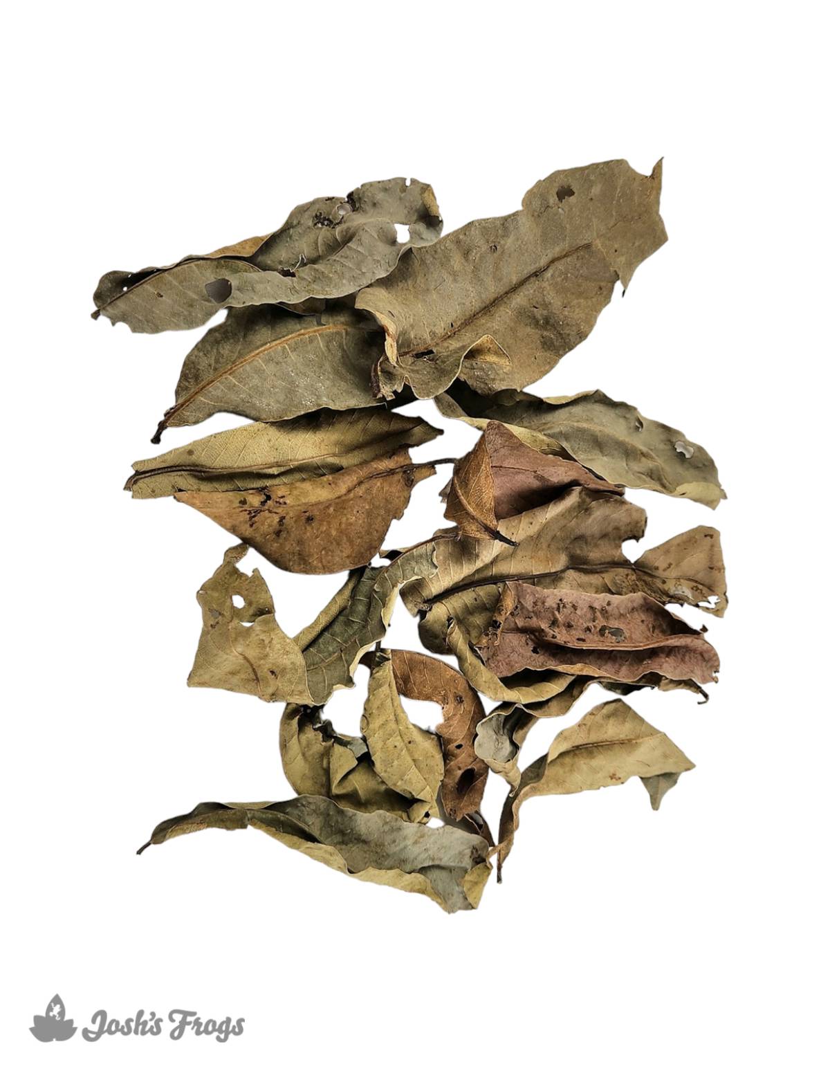 Josh's Frogs Dried Kumbuk Leaf Litter (15 leaves)