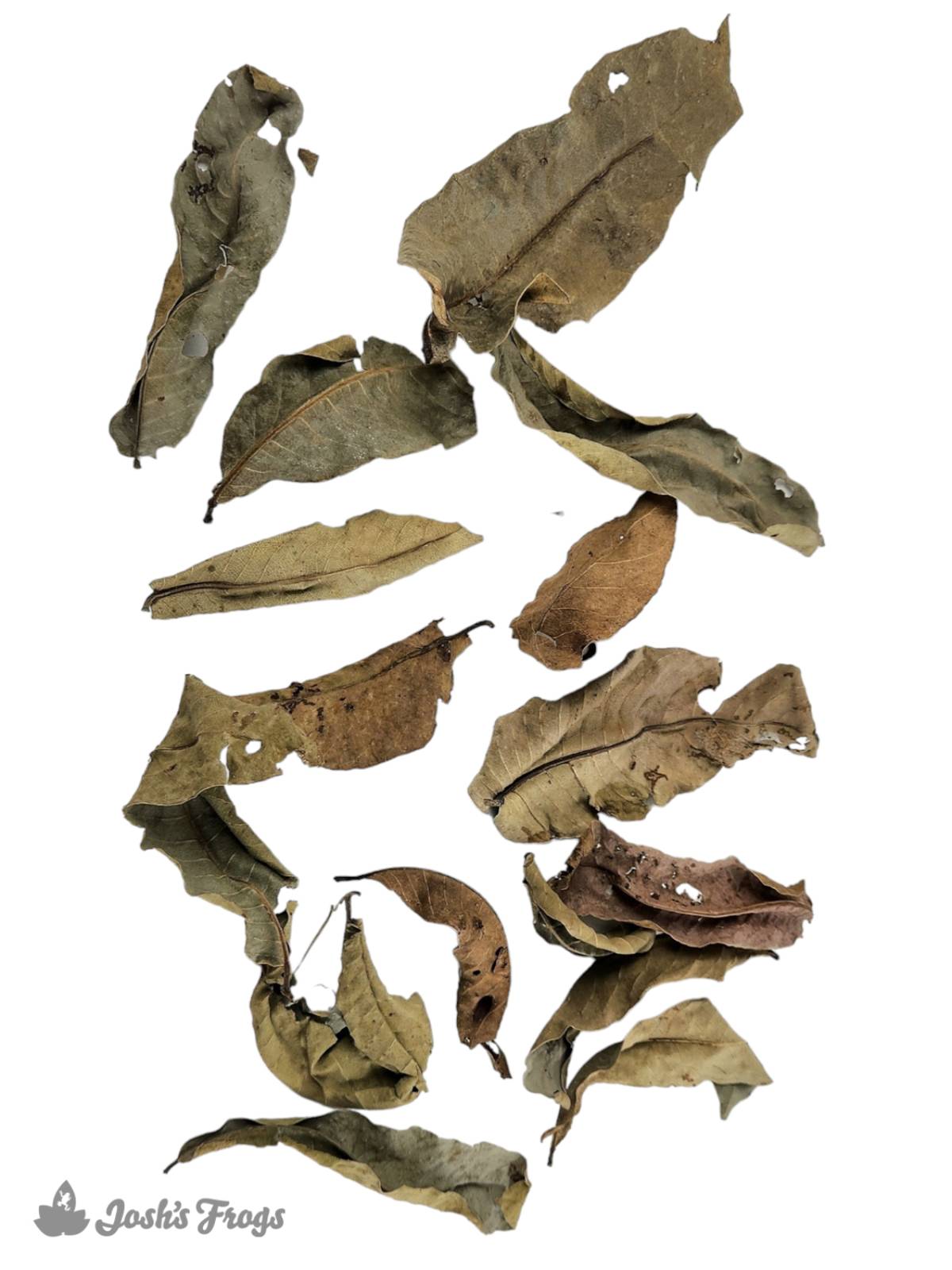 Josh's Frogs Dried Kumbuk Leaf Litter (15 leaves)