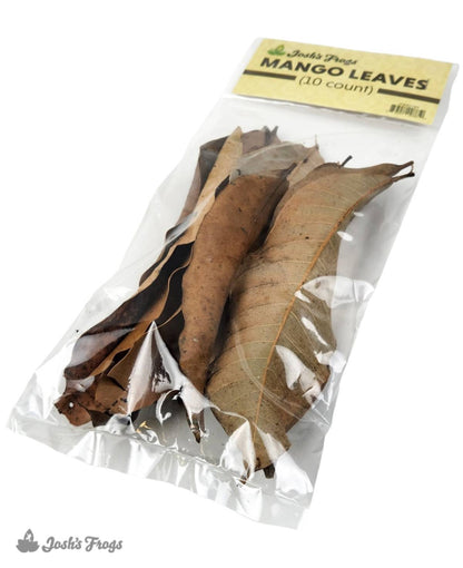 Josh's Frogs Mango Leaf Litter (10 leaves)