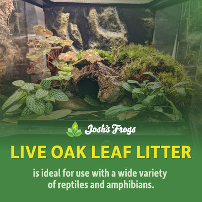 Live Oak Leaf Litter (1 gallon)