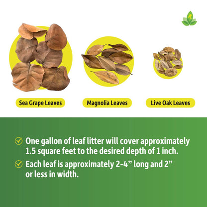 Live Oak Leaf Litter (1 gallon)