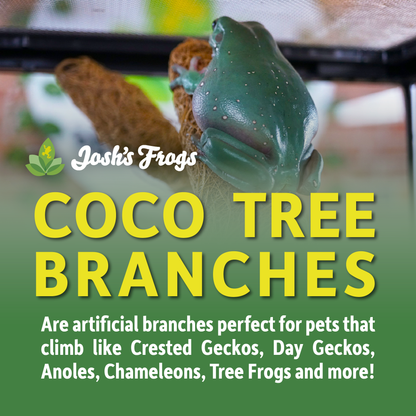 Josh's Frogs Natural Coco Tree Branch (Large)