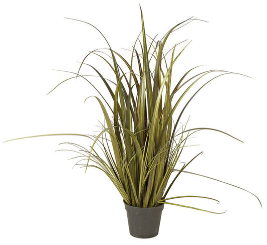 Onion Grass - 28 Inch