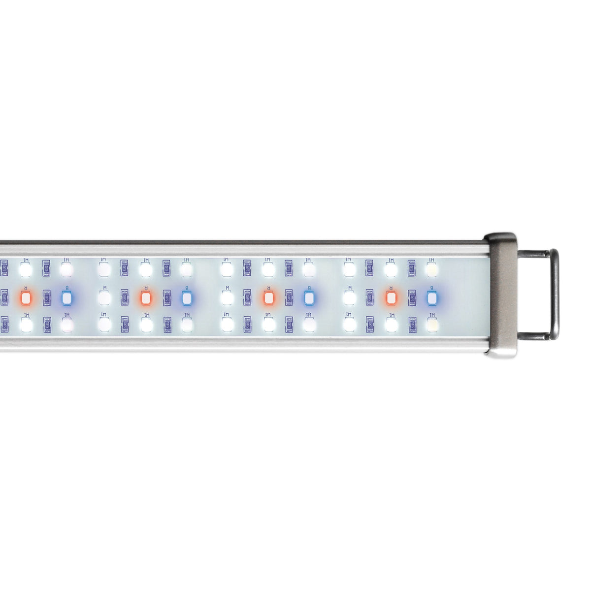 REPTILE SYSTEMS Full-Spectrum New Dawn Proten LED Lamp for Terrarium, 6500K Plant Grow Light
