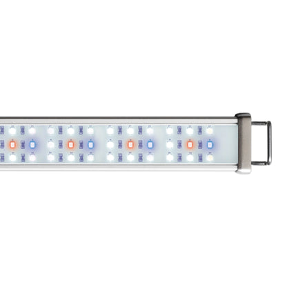 REPTILE SYSTEMS Full-Spectrum New Dawn Proten LED Lamp for Terrarium, 6500K Plant Grow Light