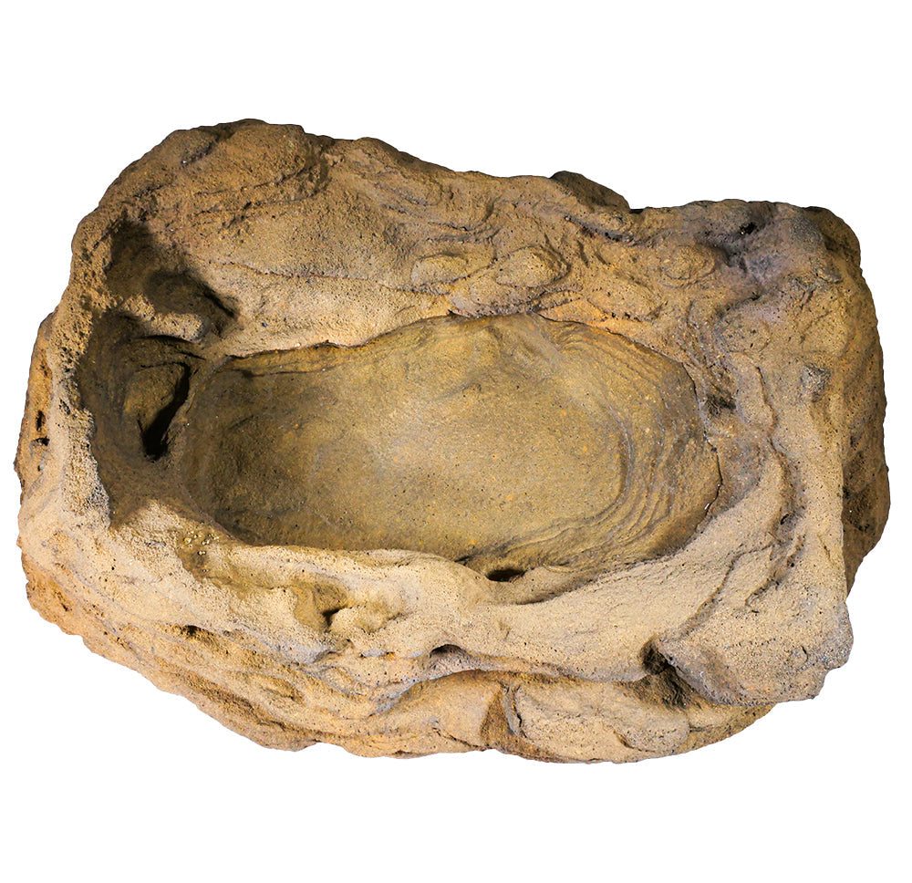 Reptile Rock Water Bowl - RB-007 - With Water 2