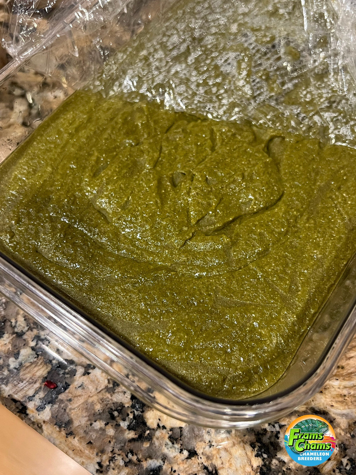 Silkworm Chow