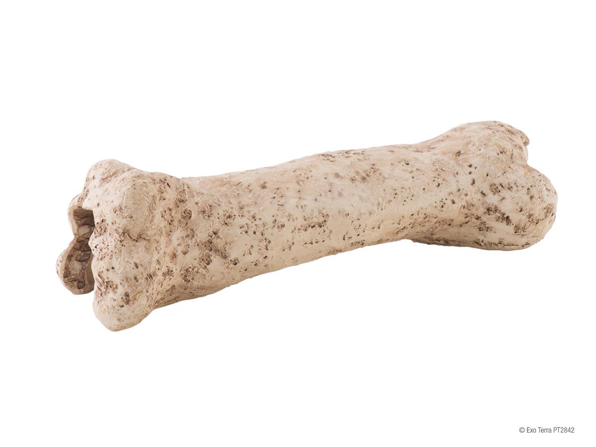 Exo Terra Dinosaur Bone