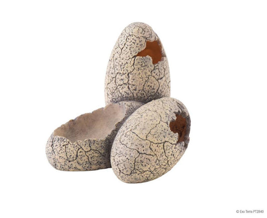 Exo Terra Dinosaur Egg Hide & Water Dish