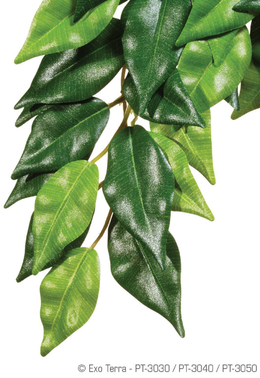 Exo Terra Ficus (Large)