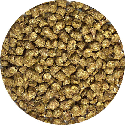 Zoo Med Natural Forest Tortoise Food (35 oz - Dry Pellets)