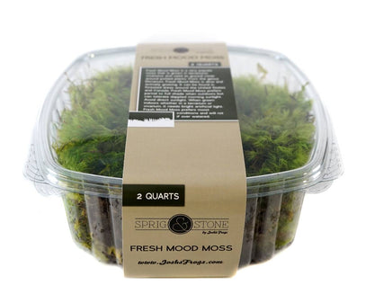 Fresh Mood Moss (2 Quart)