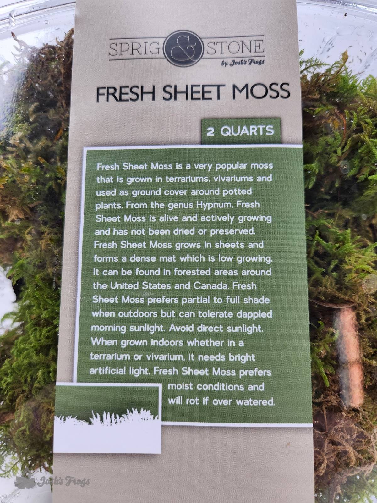 Fresh Sheet Moss (2 quart)