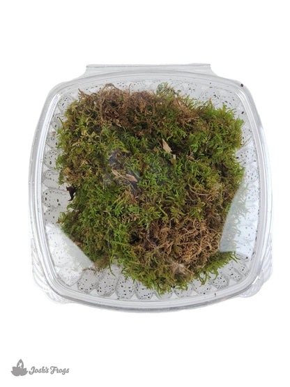 Fresh Sheet Moss (2 quart)