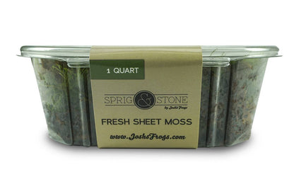 Fresh Sheet Moss (1 quart)