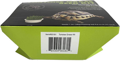 Komodo Grow-Your-Own Tortoise Grass Kit