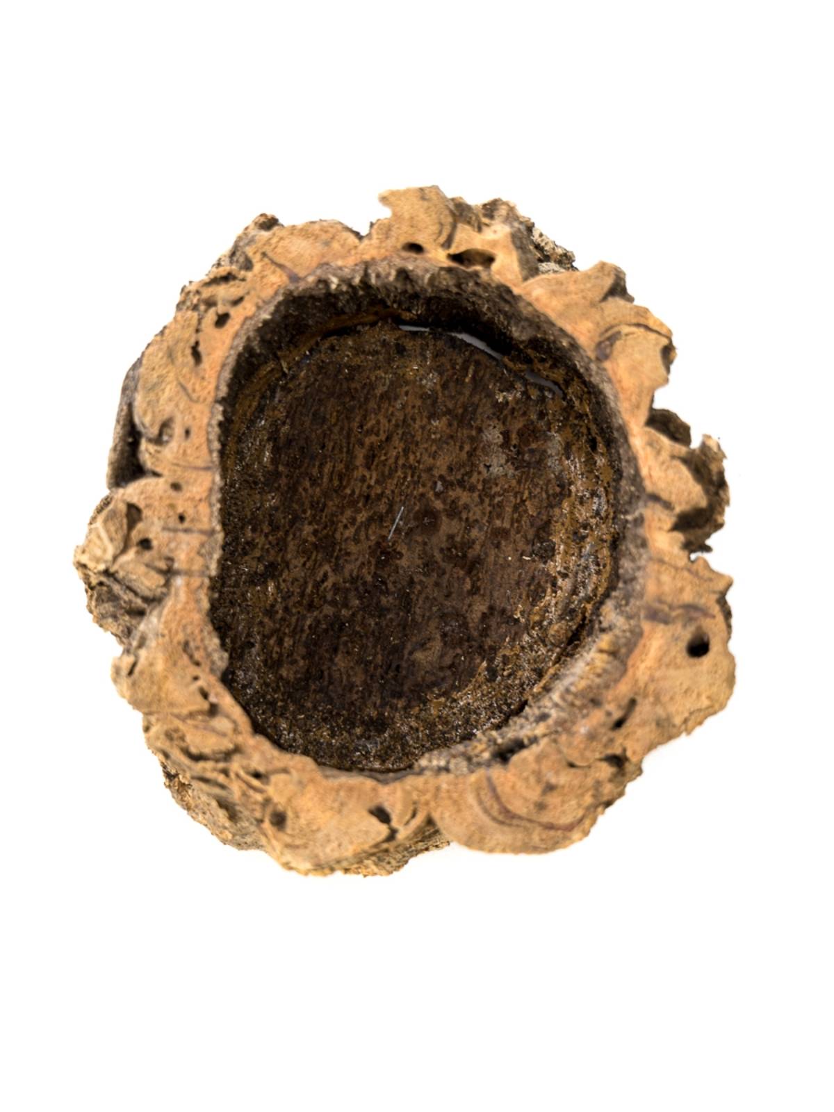 Josh's Frogs Virgin Cork Planter (4 inch tall)