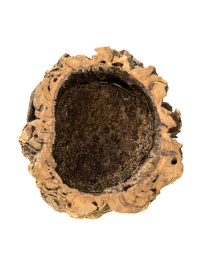 Josh's Frogs Virgin Cork Planter (4 inch tall)