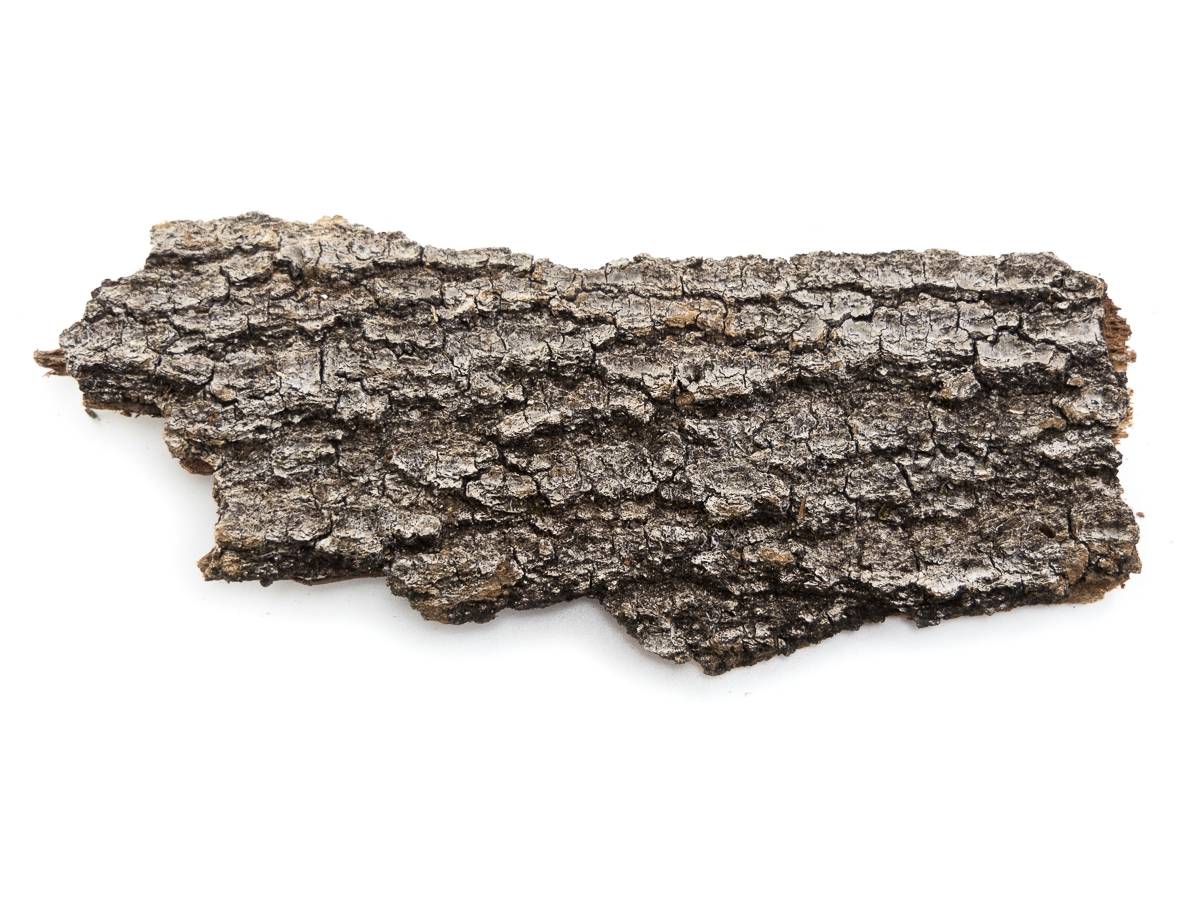 Josh's Frogs Live Oak Bark (3 lbs, 1.5 Sq. Ft.)