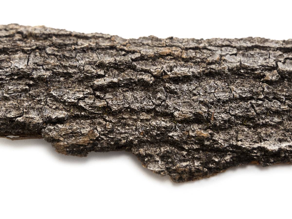 Josh's Frogs Live Oak Bark (3 lbs, 1.5 Sq. Ft.)