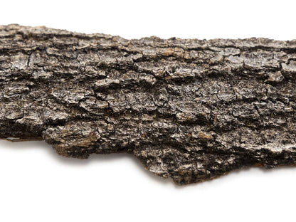 Josh's Frogs Live Oak Bark (3 lbs, 1.5 Sq. Ft.)