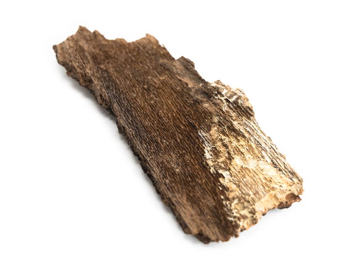 Josh's Frogs Live Oak Bark (3 lbs, 1.5 Sq. Ft.)