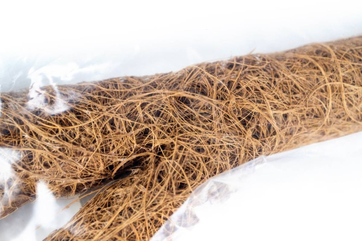 Josh's Frogs Natural Coco Tree Branch (Small)