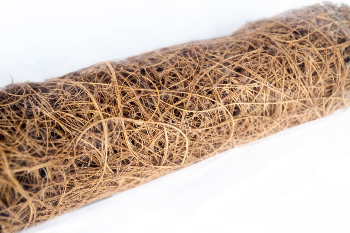 Josh's Frogs Natural Coco Tree Branch (Small)